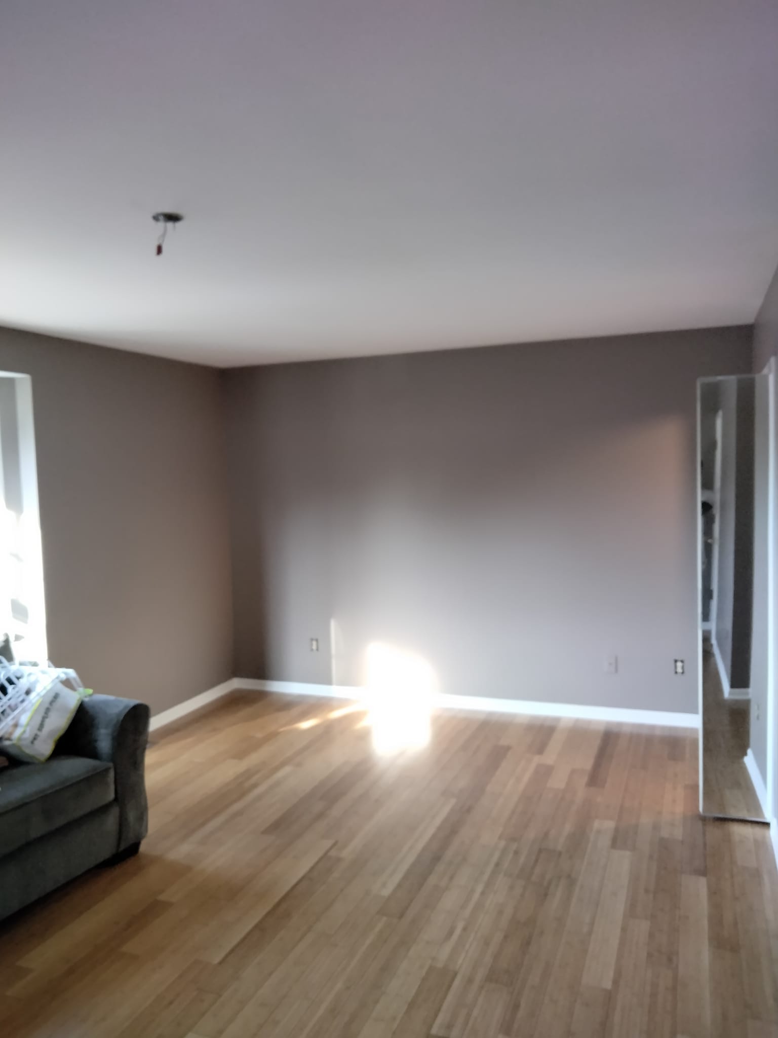 Painting Project