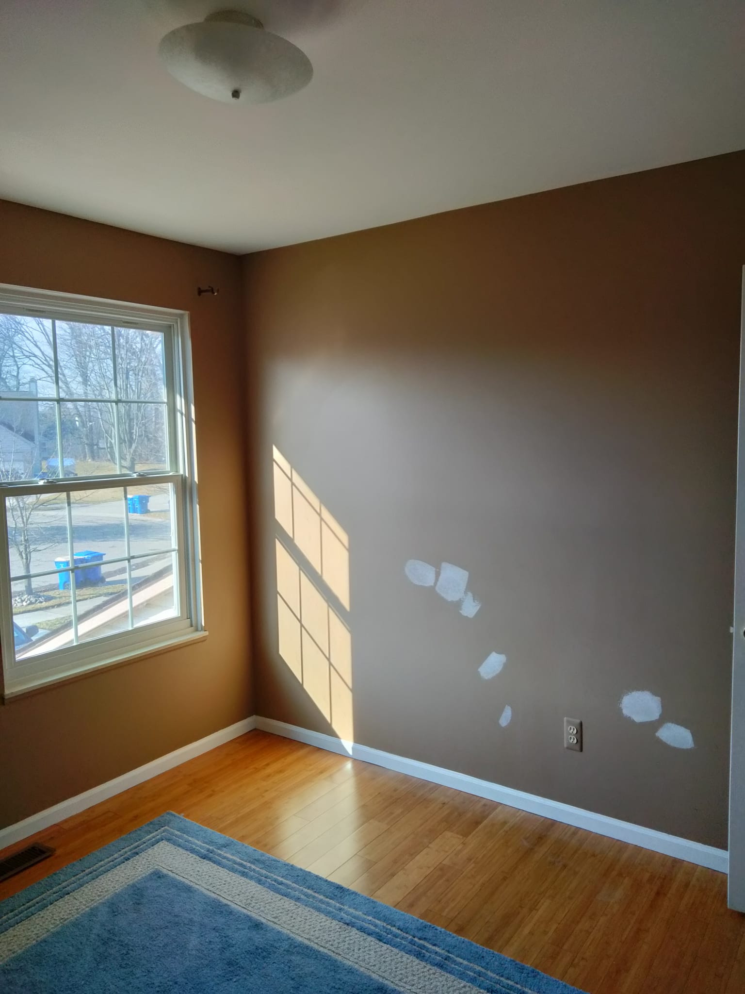 Painting Project