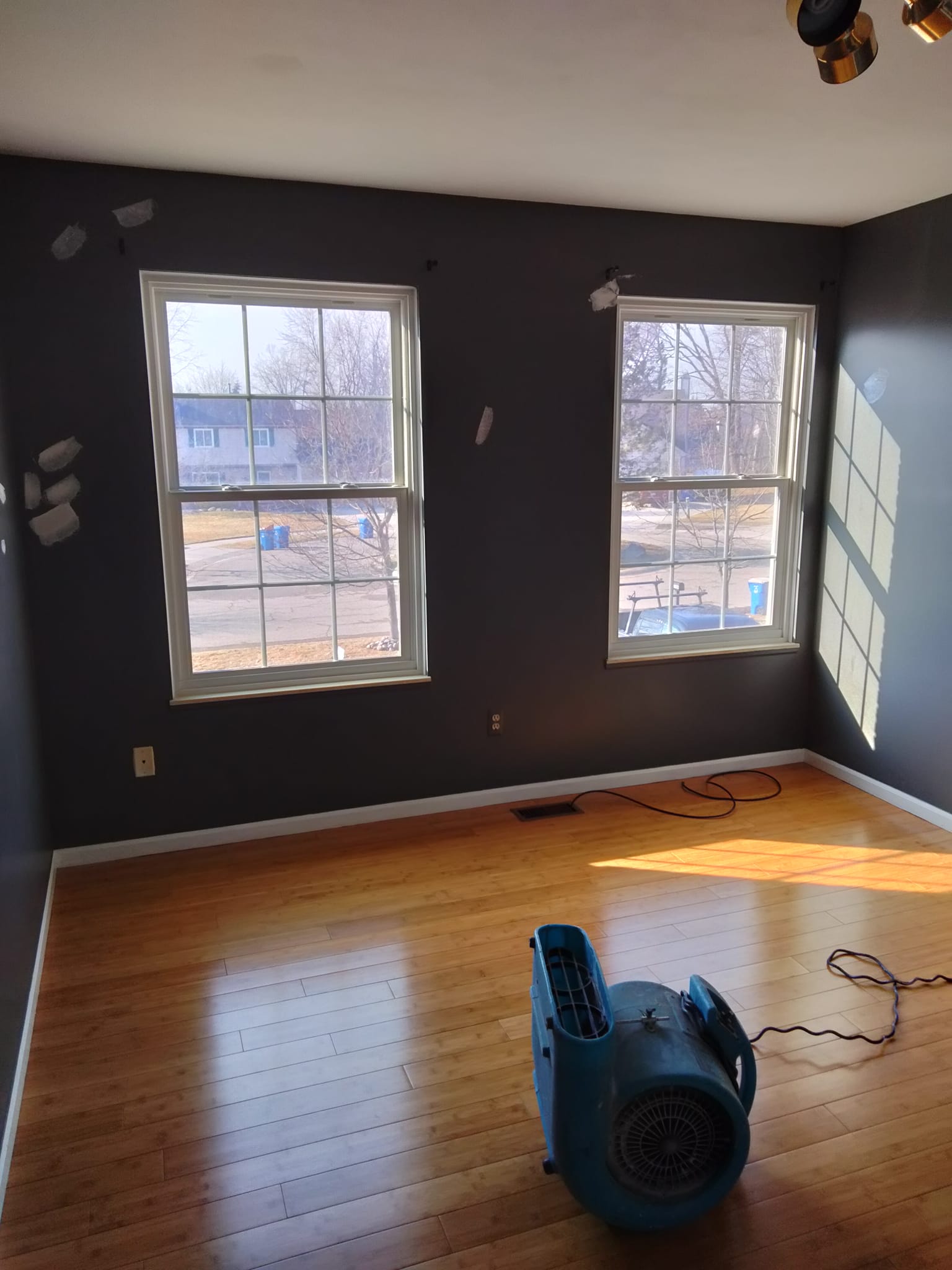 Painting Project