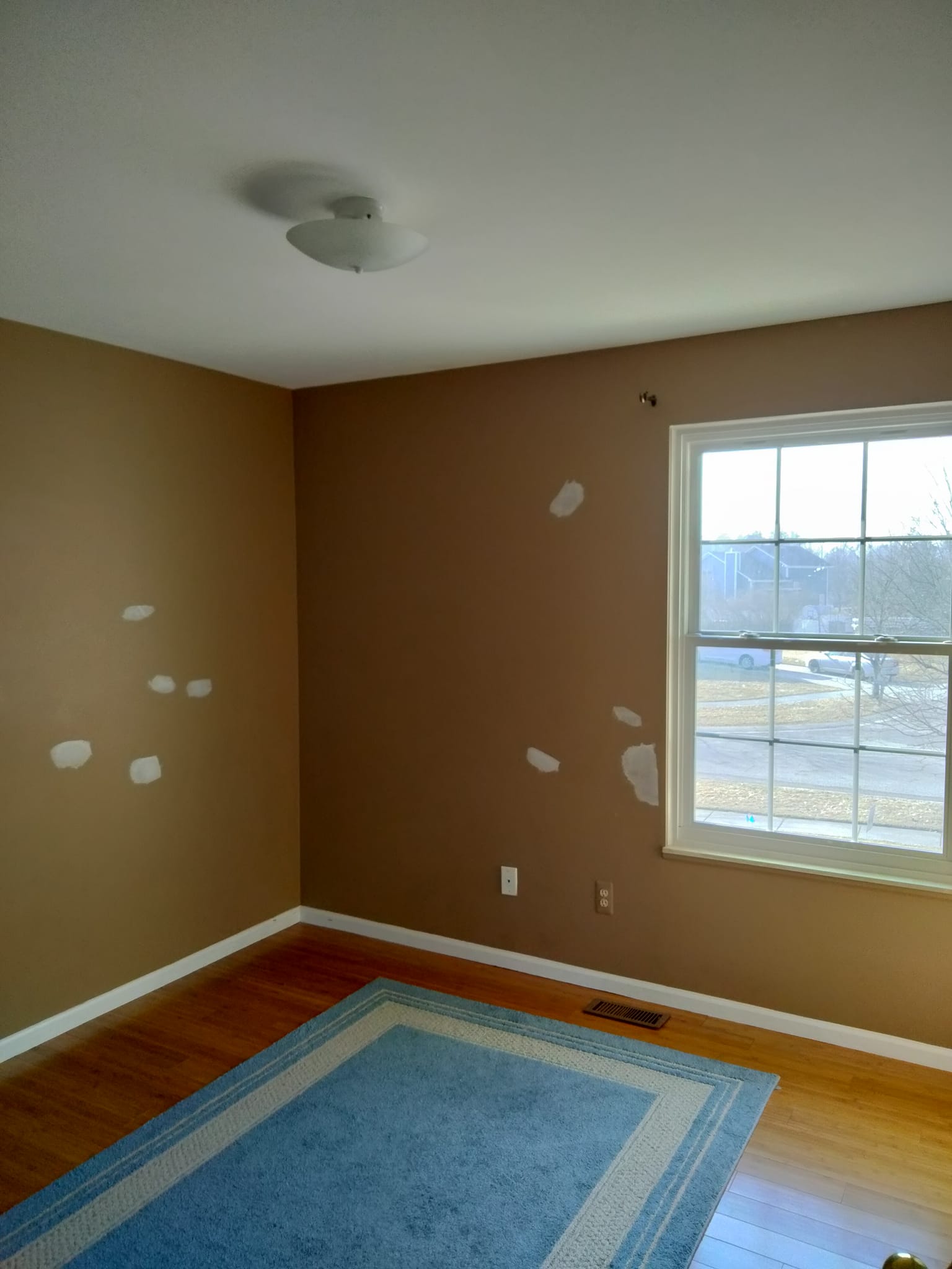 Painting Project
