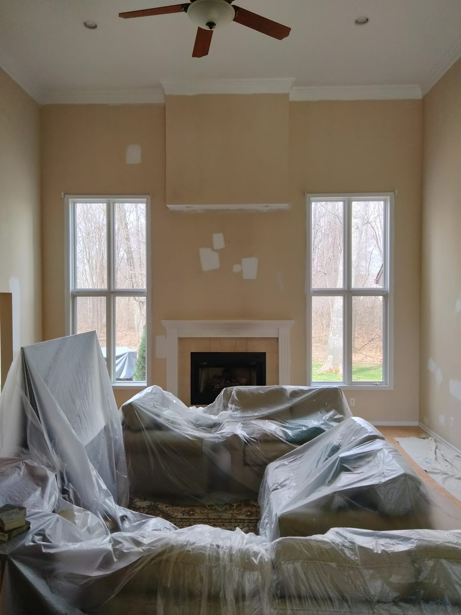 Painting Project