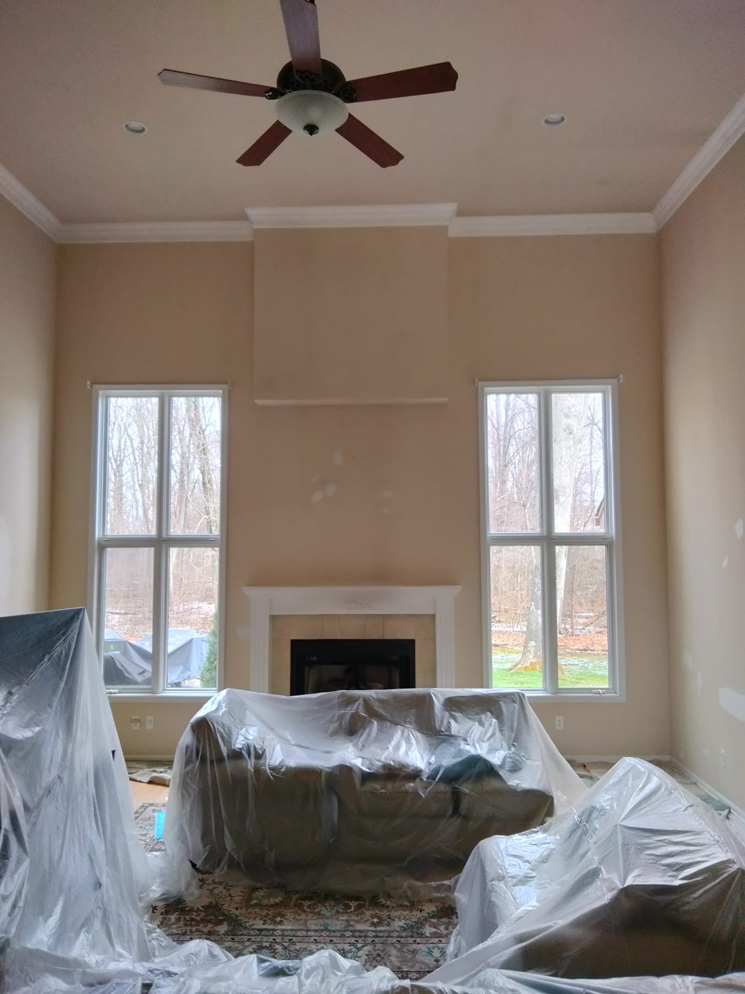 Painting Project