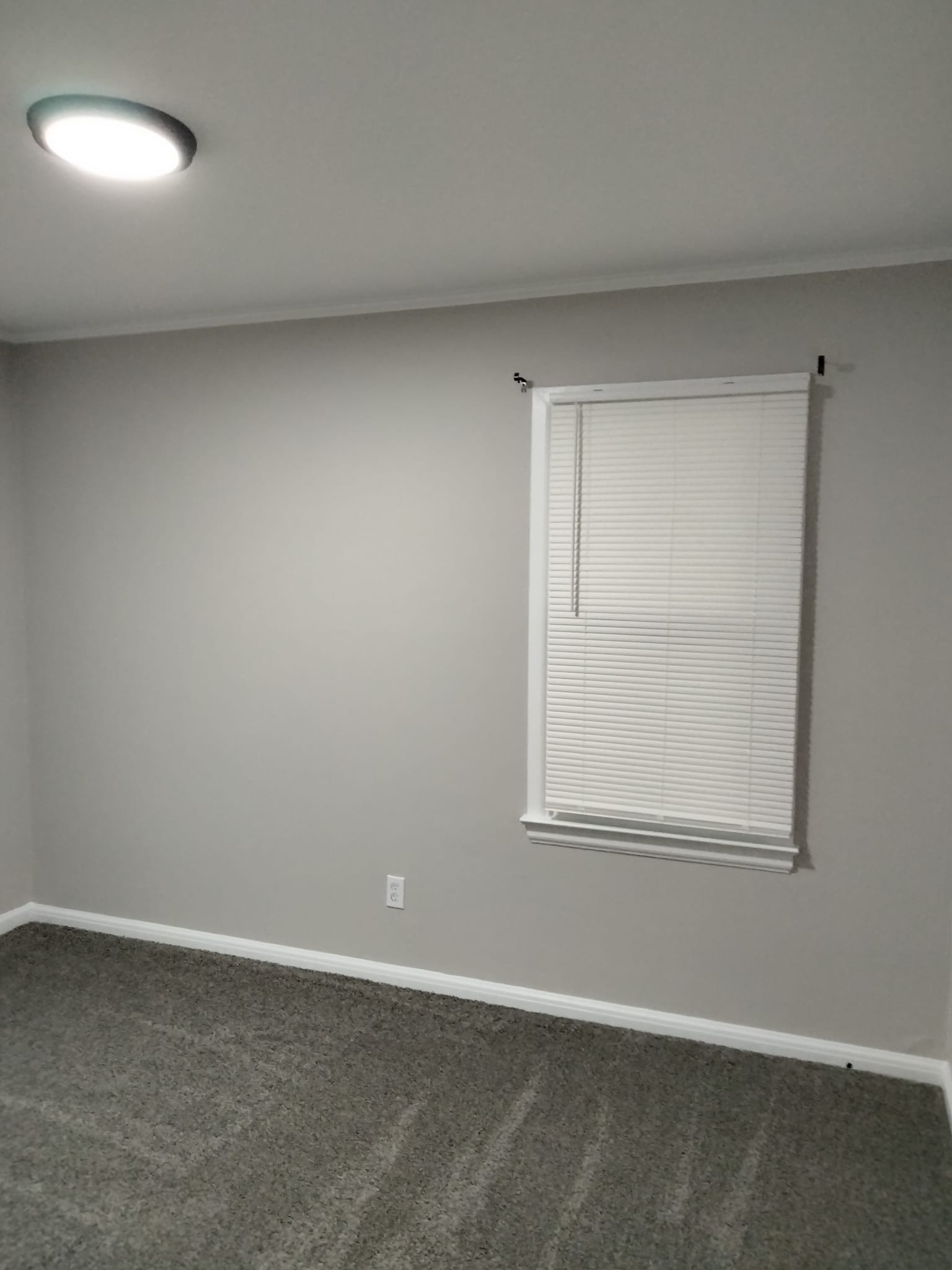 Painting Project
