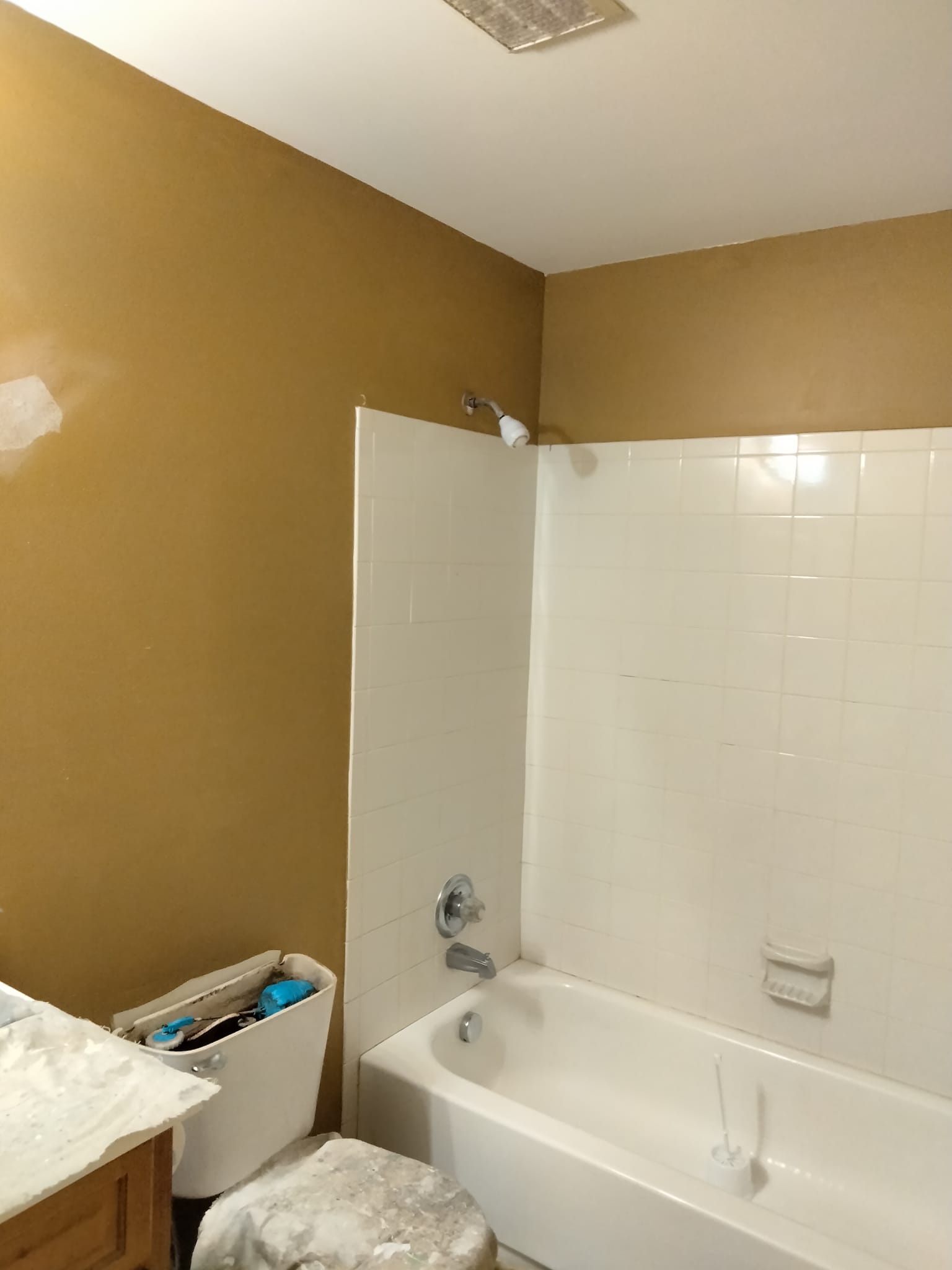 Painting Project