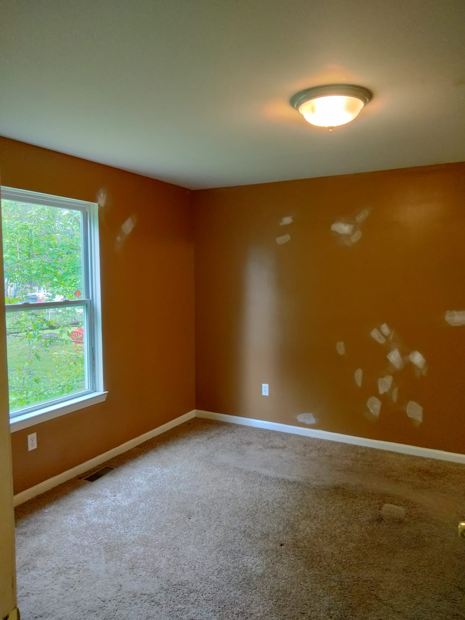 Painting Project