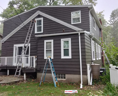 Painting Project