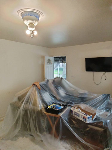 Painting Project